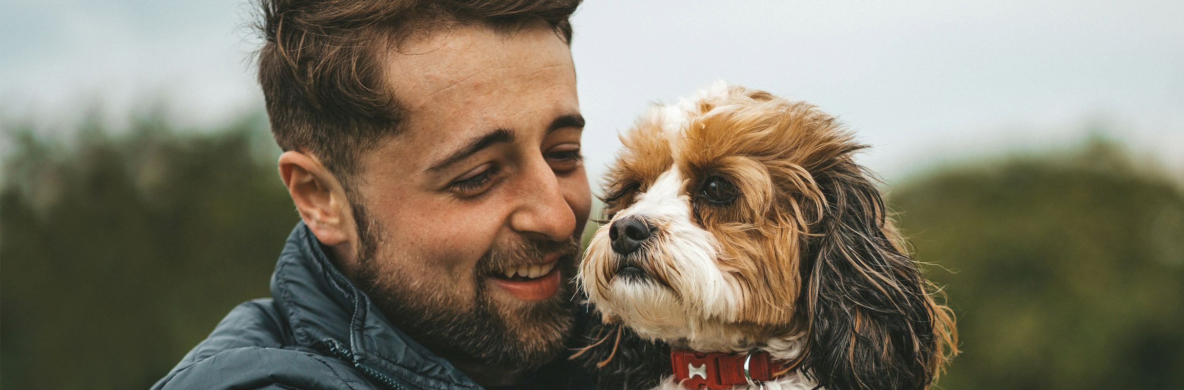 Cómo tu amor por los perros refleja tu visión de la vida