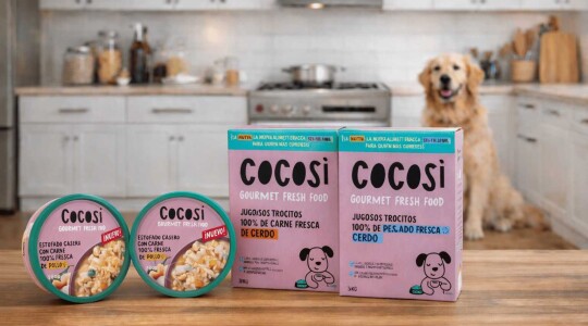 COCOSI: Comida Gourmet Húmeda