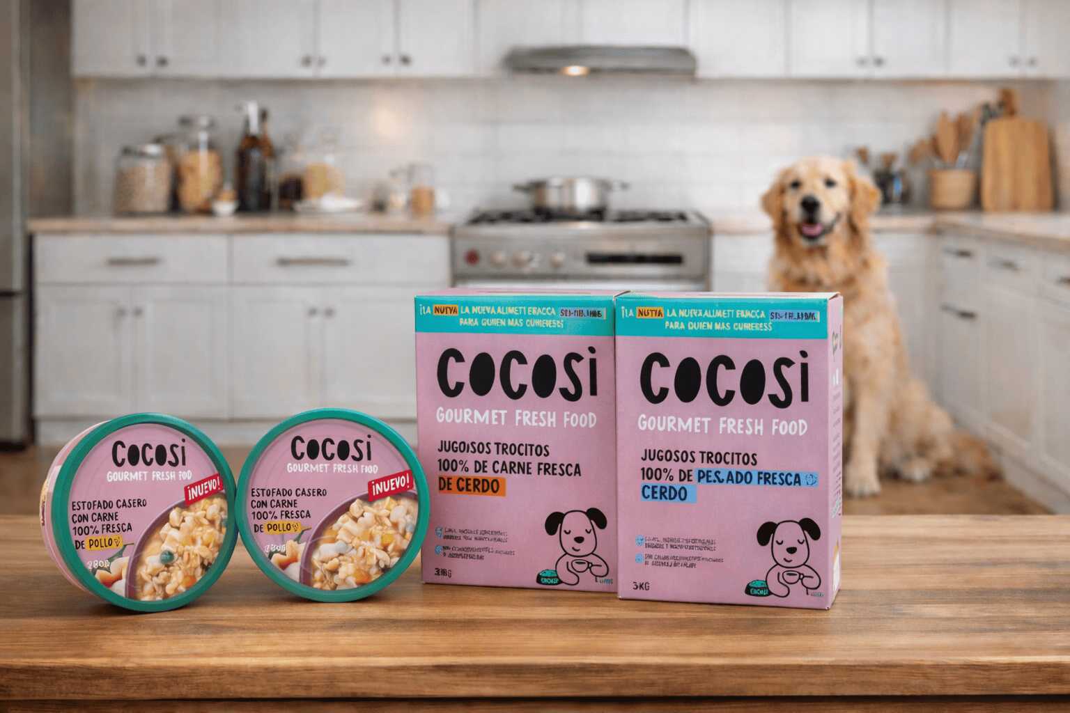 COCOSI: Comida Gourmet Húmeda