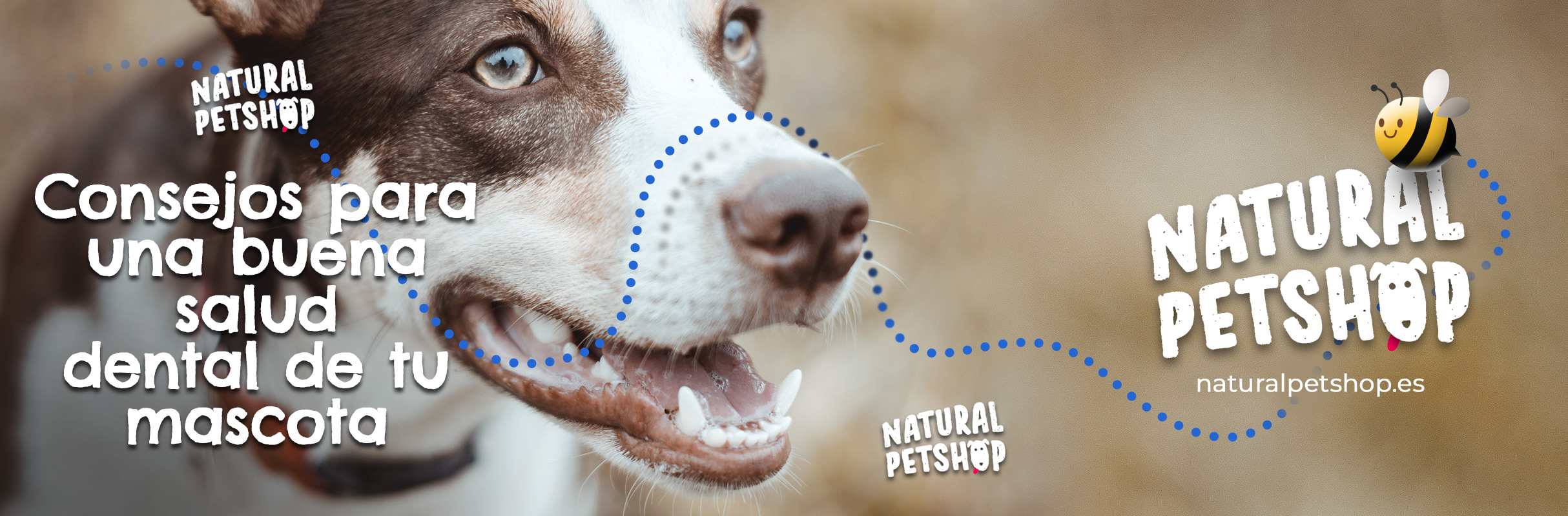 Consejos para una buena salud dental de tu mascota