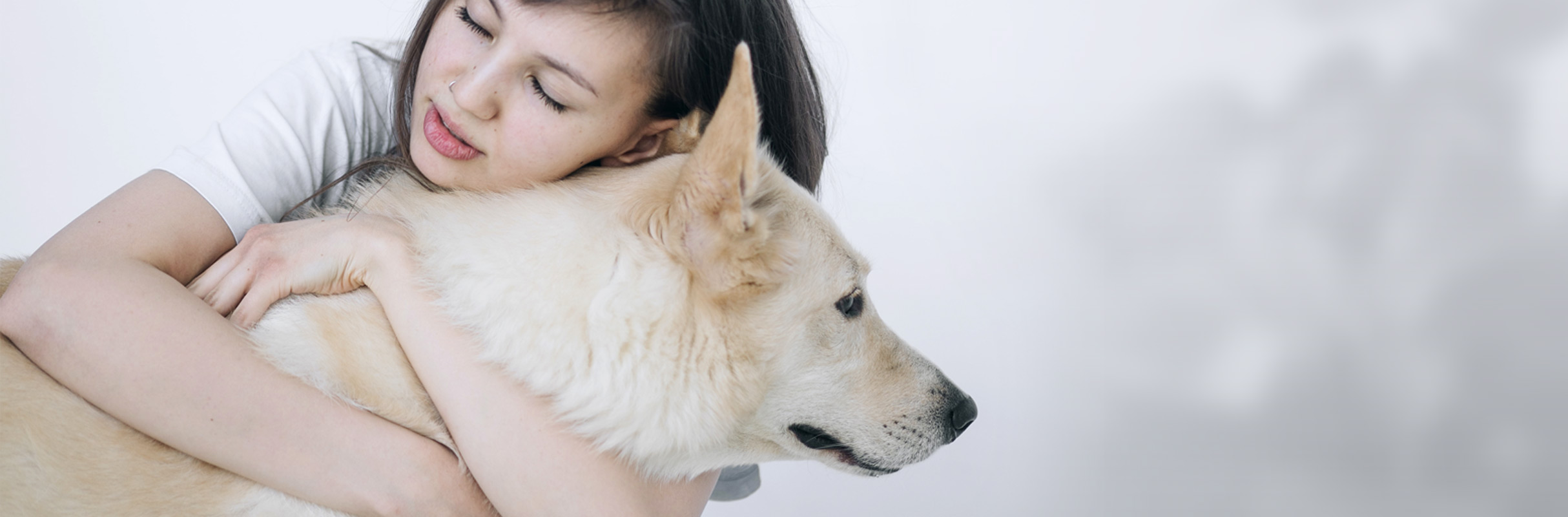 Beneficios de tener mascotas en la salud mental