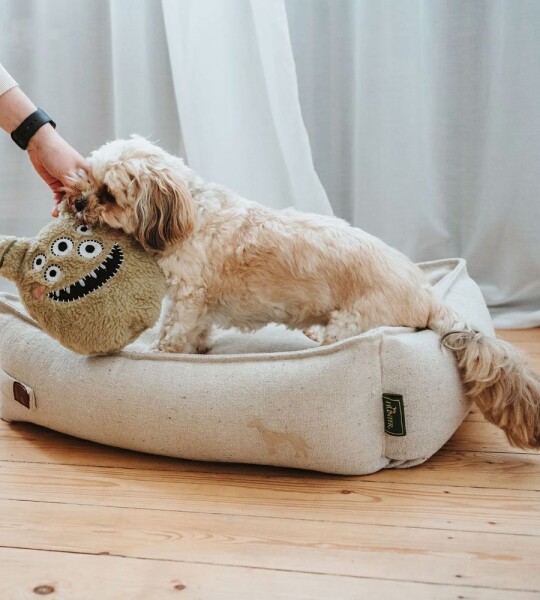 Hunter Juguete para Perros Monstruo Larry