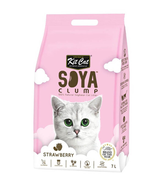 Kit Cat Lecho de Soja Fresa