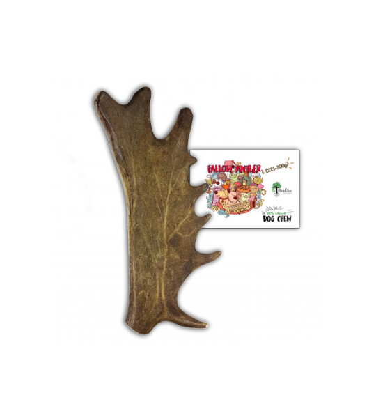 Asta de Gamo Mordedor Natural para Perros